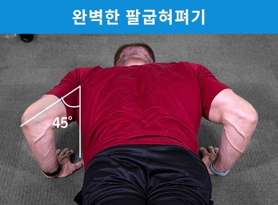 팔꿈치를 45도 각도로 구부립니다. 팔꿈치는 손목 바로 위와 몸 근처에 있어야 합니다.